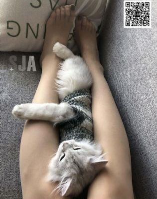 约外国外围酒店啪啪_国产剧电影全集观看