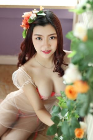服部圭子视频在线观看一区_1080天堂在线